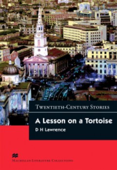 A Lesson on a Tortoise